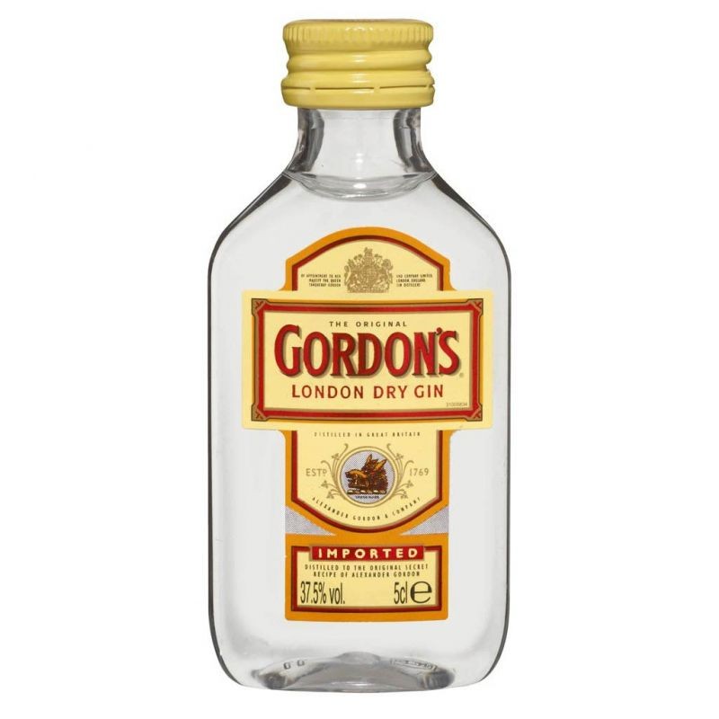 GIN Gordon Dry Pet - Profit Point Warenhandel